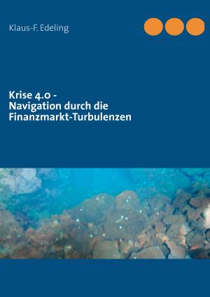 Cover of the book Krise 4.0 - Navigation durch die Finanzmarkt-Turbulenzen by Juta Stepanovs, Harald W. Tietze