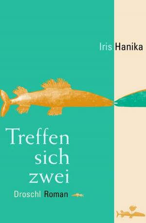 Cover of the book Treffen sich zwei by Andreas Unterweger
