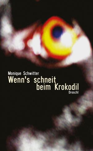 Cover of the book Wenn's schneit beim Krokodil by Andreas Unterweger