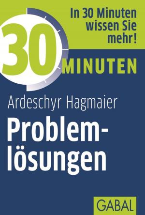 Book cover of 30 Minuten Problemlösungen