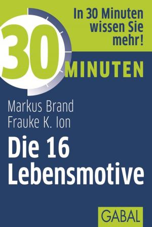 Cover of the book 30 Minuten Die 16 Lebensmotive by Monika A. Pohl