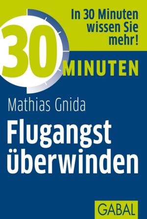 Cover of the book 30 Minuten Flugangst überwinden by Stefan Frädrich, Thomas Burzler