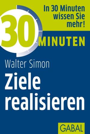 Cover of the book 30 Minuten Ziele realisieren by Andreas Buhr, Florian Feltes