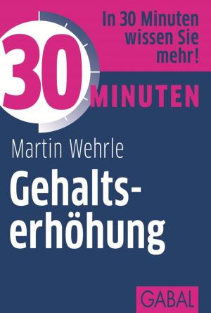 Cover of the book 30 Minuten Gehaltserhöhung by Siegfried Haider