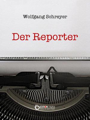 Cover of the book Der Reporter by Hans-Ulrich Lüdemann