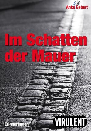 Cover of the book Im Schatten der Mauer by Stefan Blankertz