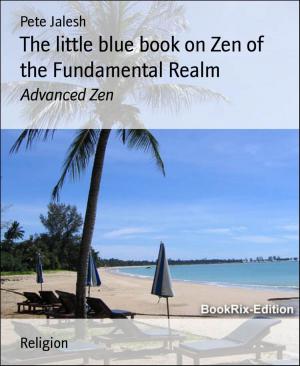 Cover of the book The little blue book on Zen of the Fundamental Realm by Horst Bieber
