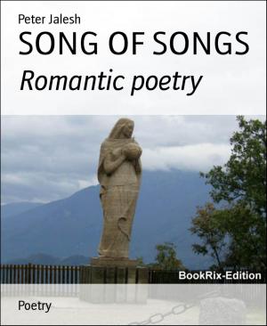 Cover of the book SONG OF SONGS by J.M. Barber