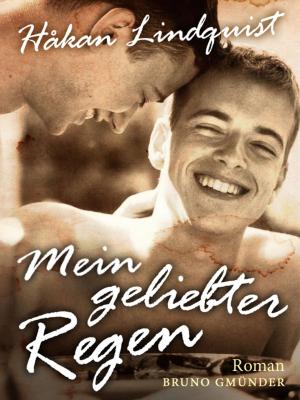 Book cover of Mein geliebter Regen