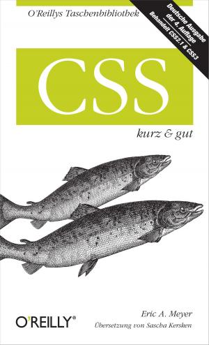 Book cover of CSS kurz & gut