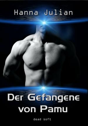 Cover of the book Der Gefangene von Pamu by Juliane Seidel