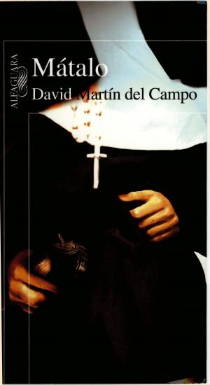 Cover of the book Mátalo by Julián Herbert