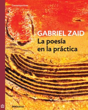 Cover of the book La poesía en la práctica by Guillermo Fadanelli