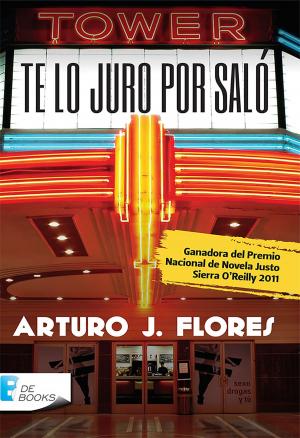 Cover of the book Te lo juro por Saló by Martha Alicia Chávez