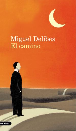 Cover of the book El camino by Miguel Delibes