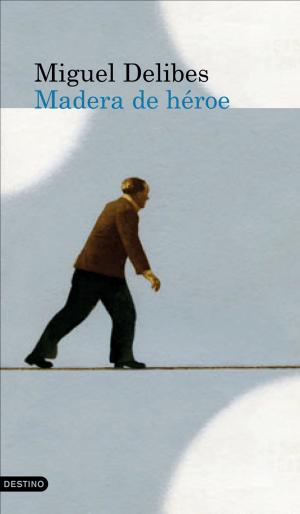 Cover of the book Madera de héroe by María Oruña