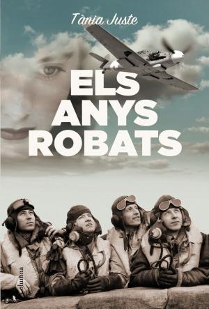 Cover of the book Els anys robats by Carme Riera