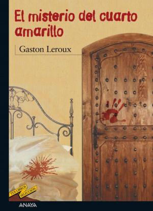 Cover of the book El misterio del cuarto amarillo by Ana Alonso