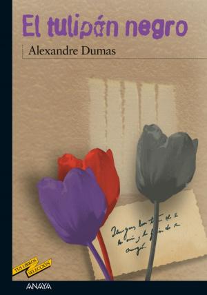 Cover of the book El tulipán negro by Edgar Allan Poe, Emilio Fontanilla Debesa