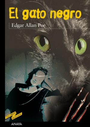 Cover of the book El gato negro by Ana Alonso, Javier Pelegrín