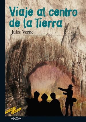 Cover of the book Viaje al centro de la Tierra by Espido Freire