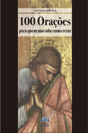Cover of the book 100 orações para quem não sabe como rezar by Padre Luís Erlin CMF