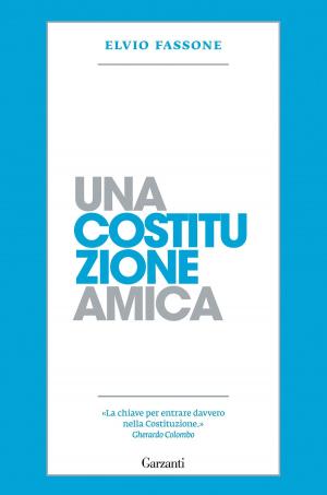 Cover of the book Una Costituzione amica by Nafisa Haji