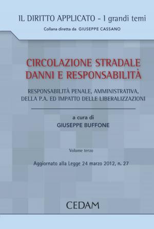 Cover of the book Circolazione stradale, danni e responsabilità civile. Volume III by Antonio Palazzo