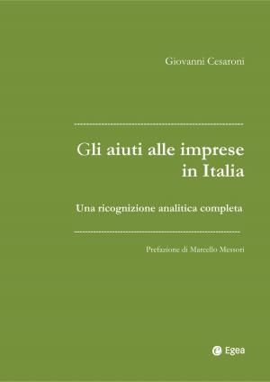 Cover of the book Gli aiuti alle imprese in Italia by Francesco Morace