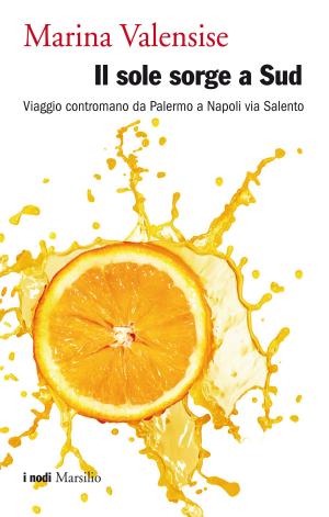 Cover of the book Il sole sorge a Sud by Stefano Lorenzetto