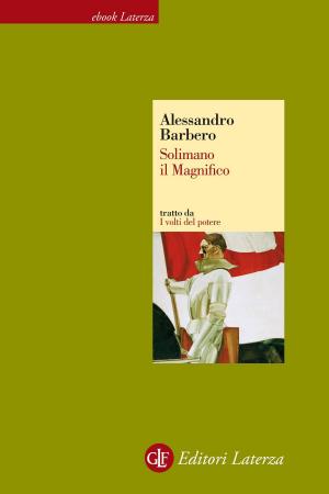 Cover of the book Solimano il Magnifico by Adriano Favole