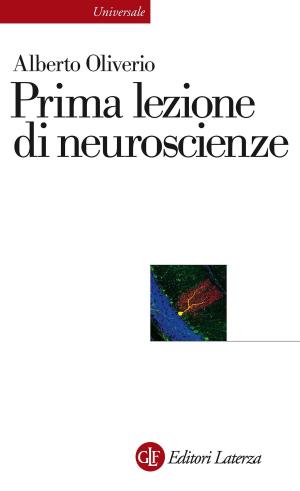 Cover of the book Prima lezione di neuroscienze by Vincenzo Ferrari