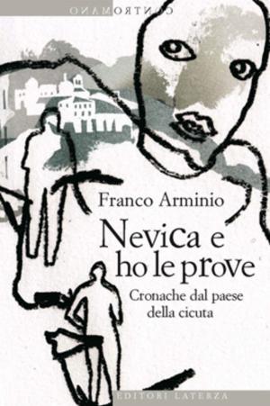 Cover of the book Nevica e ho le prove by Paolo Grossi