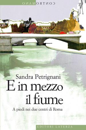 Cover of the book E in mezzo il fiume by Valerio Magrelli