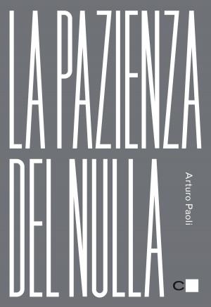 Cover of La pazienza del nulla