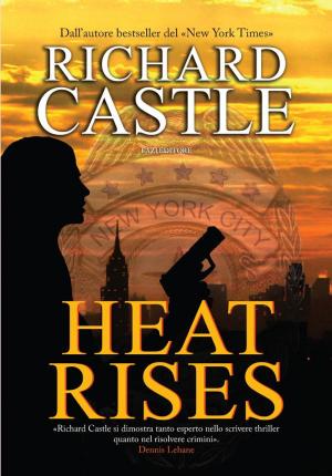 Cover of the book Heat Rises by Mattia Bernardo Bagnoli