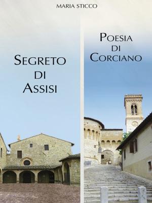 bigCover of the book Segreto di Assisi by 