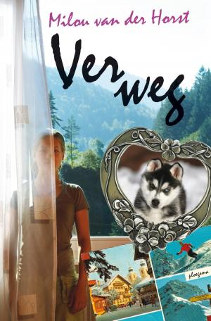 Cover of the book Ver weg by Astrid Lindgren