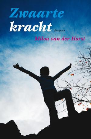 Cover of the book Zwaartekracht by Rindert Kromhout