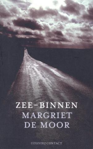 Cover of the book Zee-binnen by Frank Goldammer