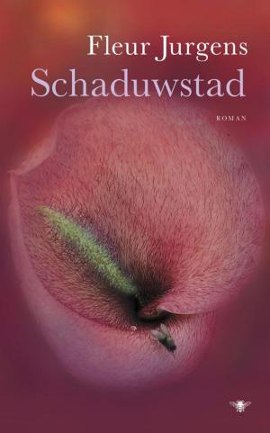 Cover of the book Schaduwstad by Marten Toonder