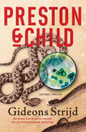 Cover of the book Gideons strijd by Lee Child