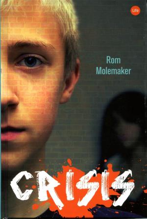Cover of the book Crisis by Gonneke Huizing