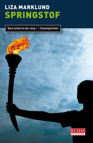 Cover of the book Springstof by Joris van Casteren