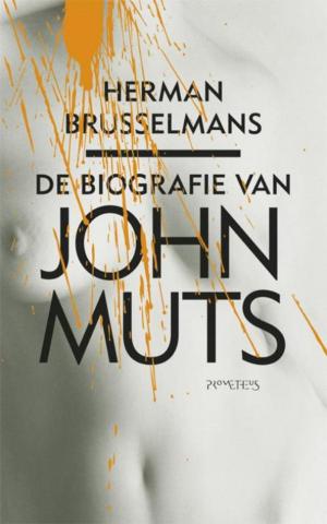 Cover of the book De biografie van John Muts by Martin Bril