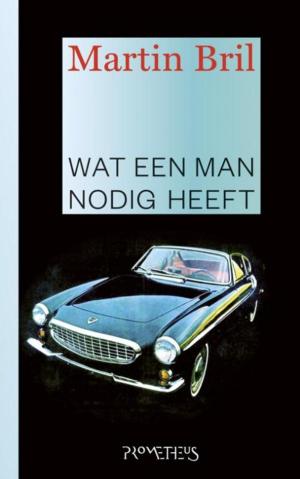 Cover of the book Wat een man nodig heeft by Martin Bril