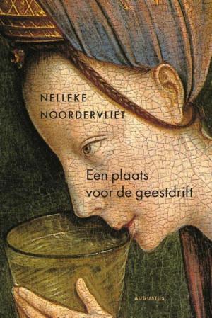 Cover of the book Een plaats voor de geestdrift by Lieve Joris