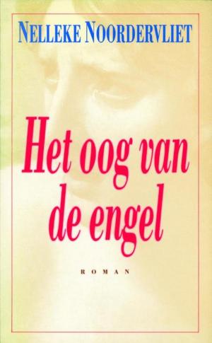 Cover of the book Het oog van de engel by Diet Groothuis