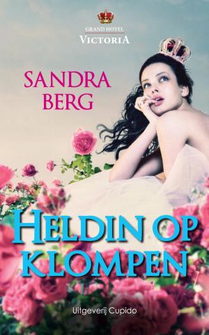 Cover of the book Heldin op klompen by Tansy Rayner Roberts