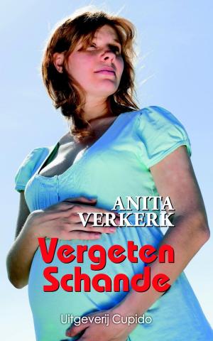 Cover of the book Vergeten schande by Anita Verkerk